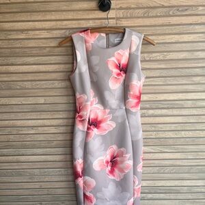 Calvin Klein Beige Pink Floral Print Sheath Dress - Size 2P Petite